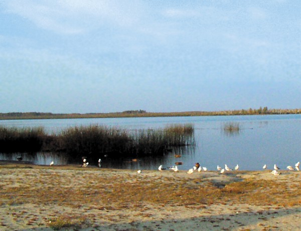 Вид на озеро Тараскуль