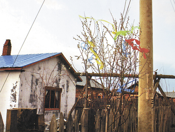 « Пасхальная верба» возле ворот одного из домов в с. Эньхэ (Караванная). 2010